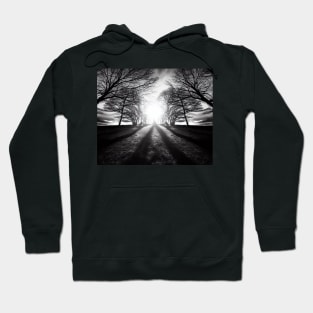 Monochrome Majesty: Sun Through Trees Hoodie